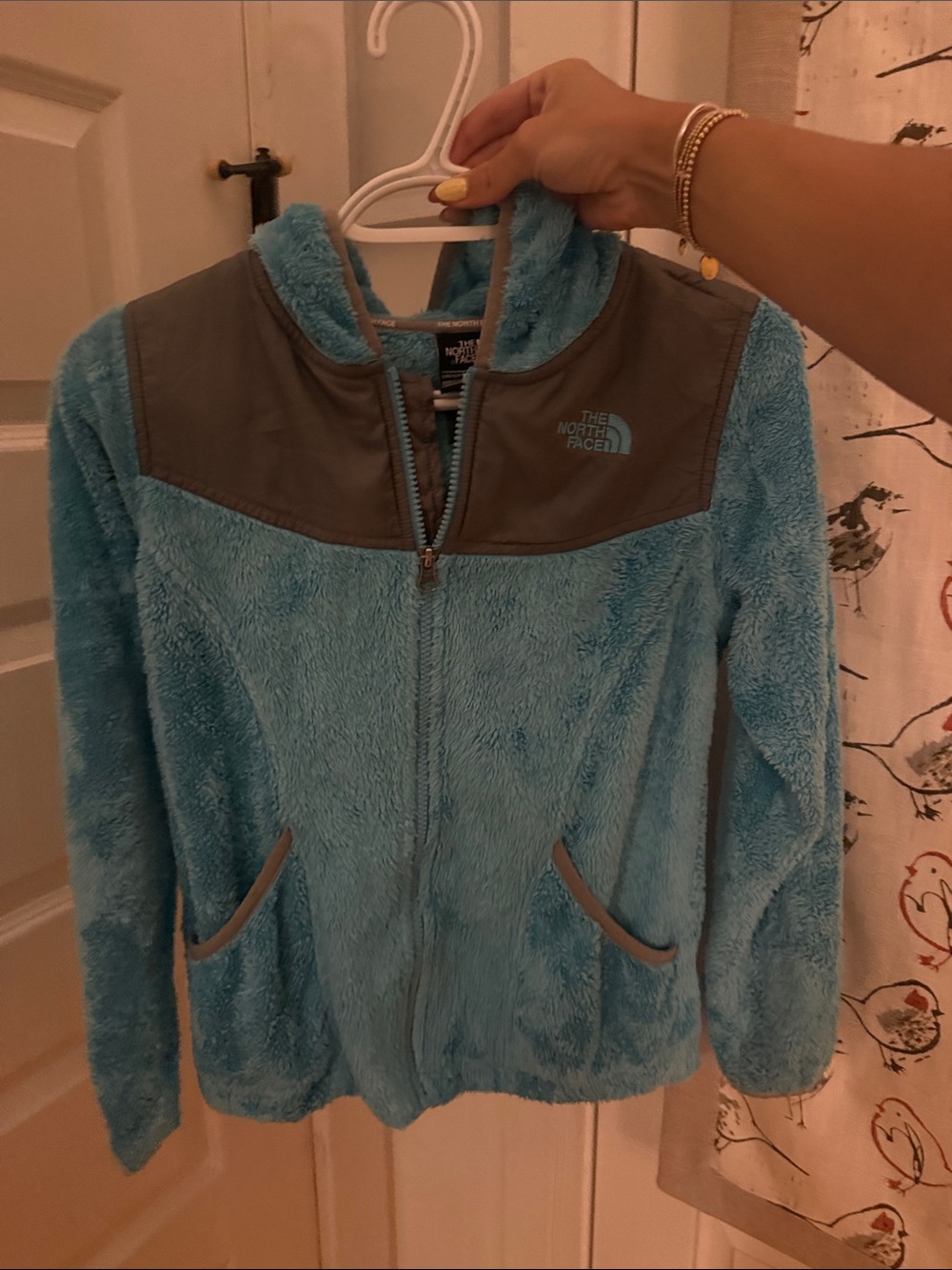 The North Face Women's Aqua Blue Plush Fleece Jacket with Gray Yoke